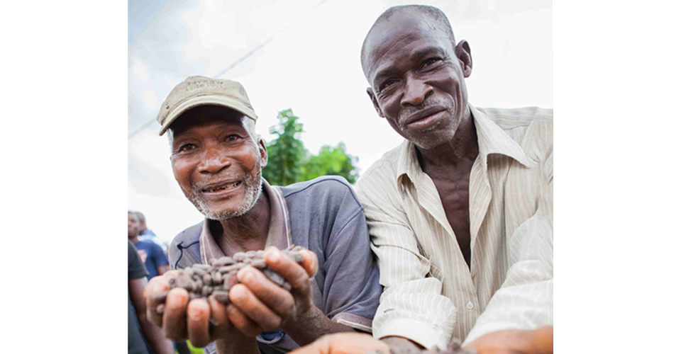 men holding cocoa beans
