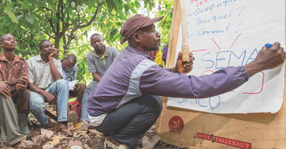 Farmer planning Sicao