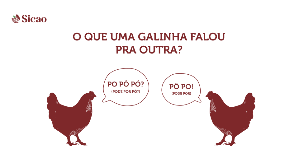 galinhas sicao pó conversando